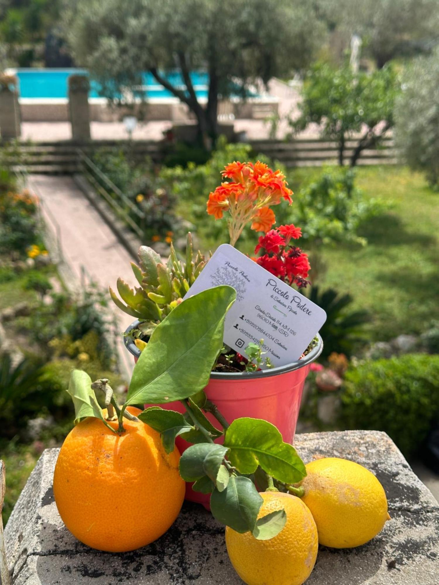 Piccolo Podere Appartement Melilli Buitenkant foto